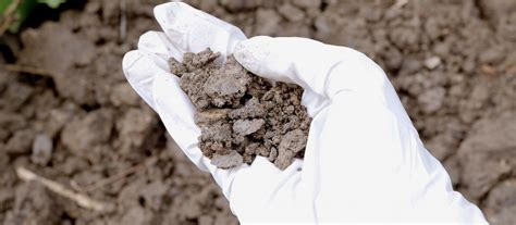 Soil Contamination from Construction Projects SpringerLink