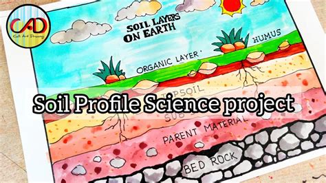 Soil Profile Diagram drawing Layer of Soil drawing How to draw