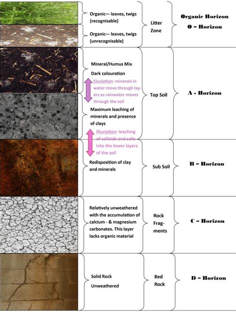 Soil Water Soils - Part 2: Physical Properties of Soil …