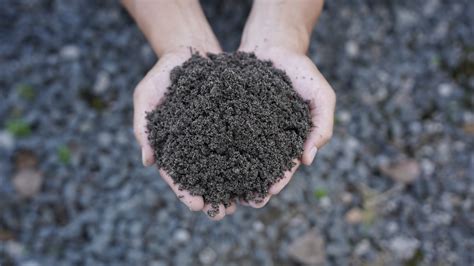 Soil blending.  Premium options available at Lowe's.  Our organic soil...