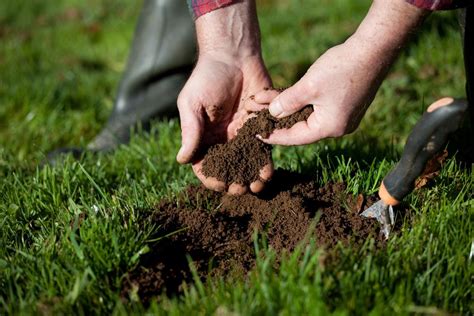 Soil for grass. Having a healthy, green lawn is a source of pride for many homeowners. However, lawns can be susceptible to disease, which can cause unsightly patches and discoloration. Treating l... 