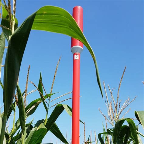 Soil moisture sensor - PlantCare AG - volumetric water content / …