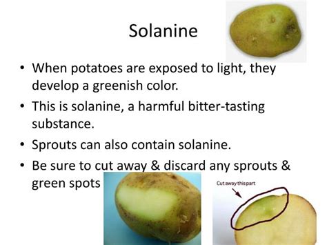 Solanin potatis