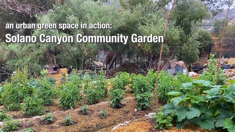 Solano Canyon Community Garden (@solanocommunitygarden)