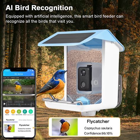 Solar Smart Bird Feeder With Camera 1080HD Night Vision Camera …