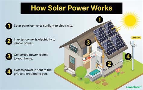 Solar Trees: What Are They and How Do They Work?