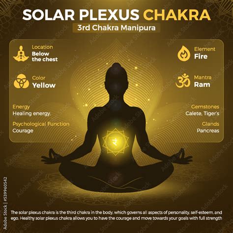 Solar plexus