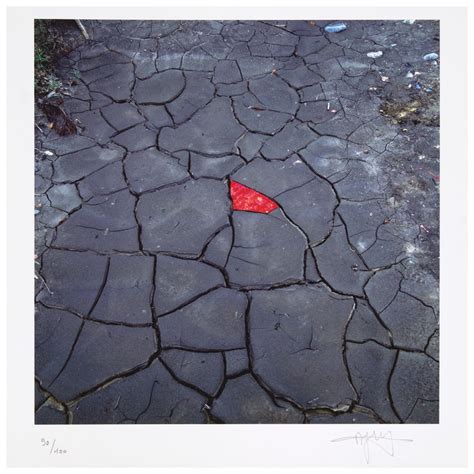 Sold at Auction: Andy Goldsworthy - Invaluable