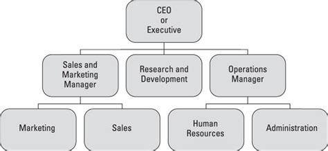 Solidify Your Organization Chart to Improve Time Management