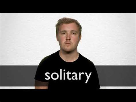 Solitary hunter definition and meaning Collins English Dictionary