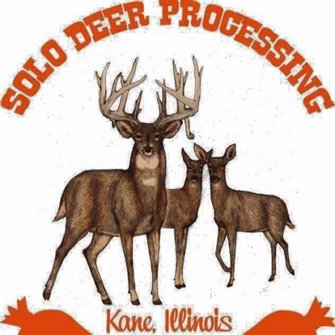 Solo deer processing. Things To Know About Solo deer processing. 