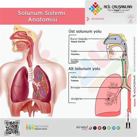 codini.rgarabwor.edu.pl. 