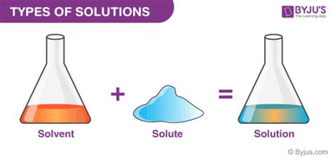 Solution Biology Example
