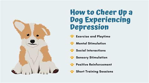 Solutions For Dog Depression