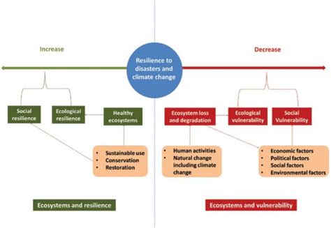 Solutions For Environmental Disasters