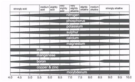 Solutions to Soil Problems: Soil Acidity – Water ... - Extension