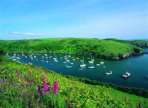 Solva Boat Club - Foursquare