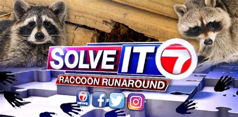 Solve It 7: Raccoon Runaround