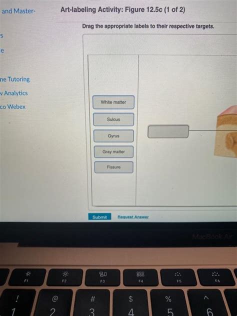 Solved 0134170 Assignments Chapter 12 The Brain and Cranial