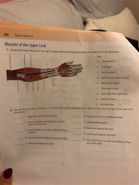 Solved 7. muscles of the upper limb. using terms from the