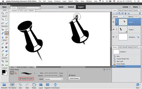 Solved Clone stamp not working in Elements 2020 trial ver... Adobe