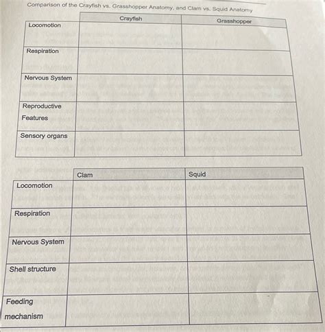 Solved Comparison of the Crayfish vs. Grasshopper Anatomy ... - Chegg