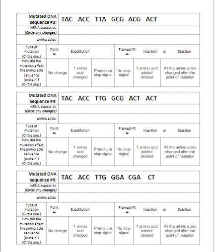 Solved DNA Mutations Practice Worksheet DIRECTIONS: Chegg com
