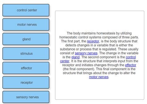 Solved Describe the ways that the male body maintains - Chegg