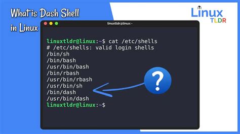 Solved Investigate and explain how the dash shell