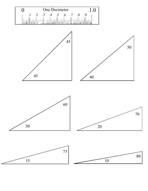 Solved Measuring Triangles Learn by Doing Activity