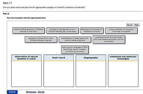 Solved Place the statements in the appropriate category as - Chegg