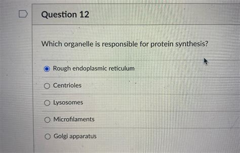 Solved QUESTION 2 Which organelle is responsible for - Chegg