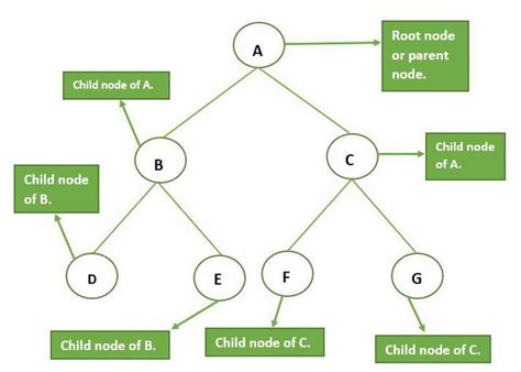 Solved Question 1 1 pts Each node in a tree has at most …