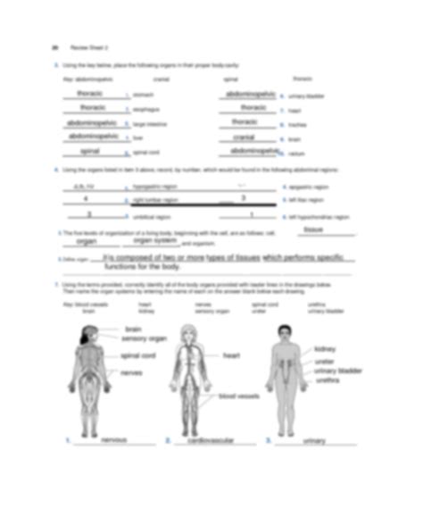 Solved REVIEW SHEET EXERCISE Organ Systems Overview in the
