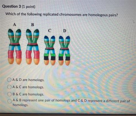 Solved There are 38 chromosomes in a germ cell of a - Chegg