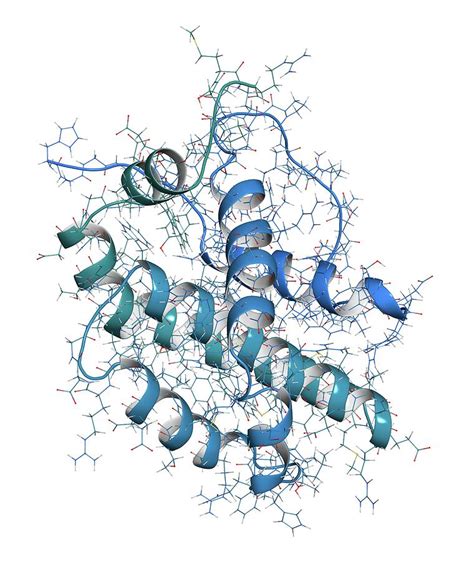 Solved Two regulatory proteins ‘A’ and