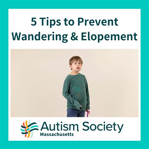 Solved What can be done to prevent a wandering