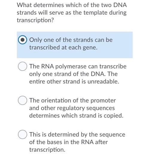 Solved What determines which of the two DNA strands will