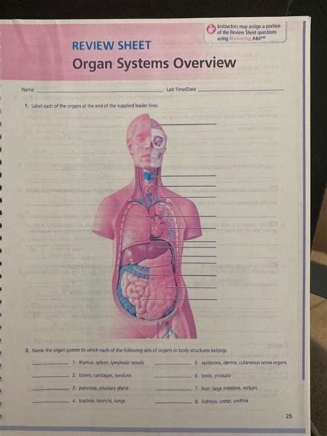 Solved of the Review Sheet questions using ABPM REVIEW SHEET