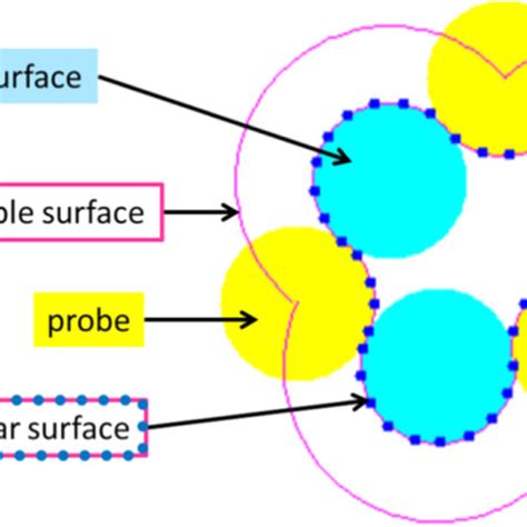 Solvent accessible surface area ResearchGate