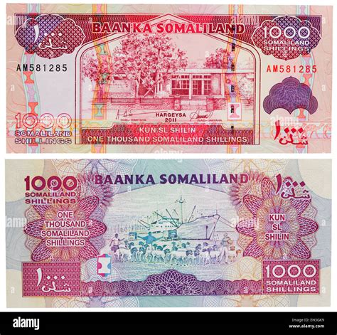 Somaliland currency. .  <a href=https://ballards.5stardesigners.net/assets/i8owurg/obituaries-f...