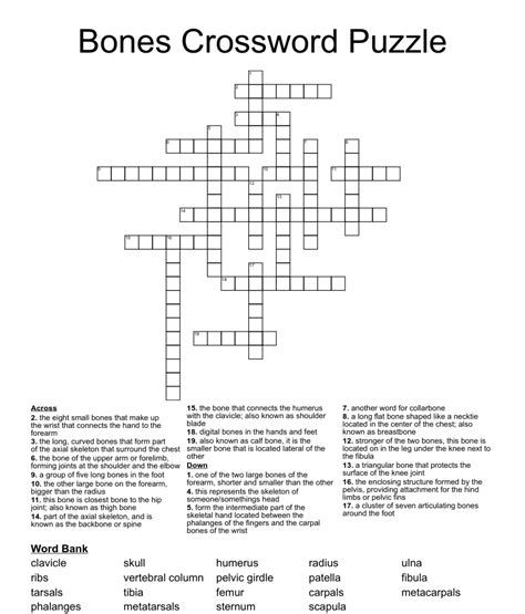 Some bones crossword clue. The Crossword Solver found 30 answers to "pinky side arm bones", 4 letters crossword clue. The Crossword Solver finds answers to classic crosswords and cryptic crossword puzzles. Enter the length or pattern for better results. Click the answer to find similar crossword clues . Enter a Crossword Clue. A clue is required. 