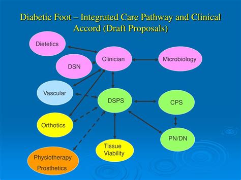 Somerset Diabetes Foot Integrated Pathway