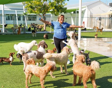 Somi pet resort. Top 10 Best Dog Daycare in Coral Gables, FL - March 2024 - Yelp - Pet Squire, Dogtown, D.O.G - Coral Gables, Somi Pet Resort, Murphy's Place for Dogs, Dog Dude Ranch of Miami, Karina Kares Sitter Services, Peace … 