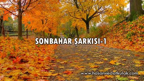 Sonbahar Şarkısı / Okul Öncesi Şarkılar YouTube. 
