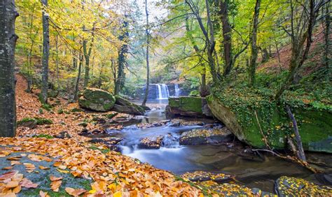 leosephi.rgarabwor.edu.pl. 