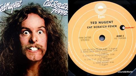 Song cat scratch fever. Things To Know About Song cat scratch fever. 