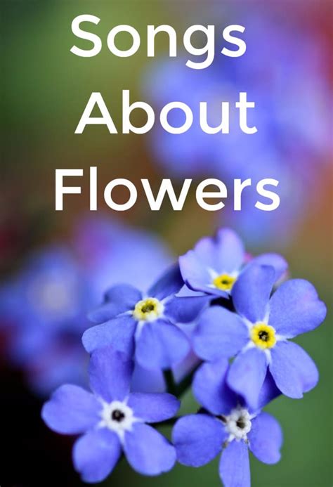 Songs about flowers. Things To Know About Songs about flowers. 