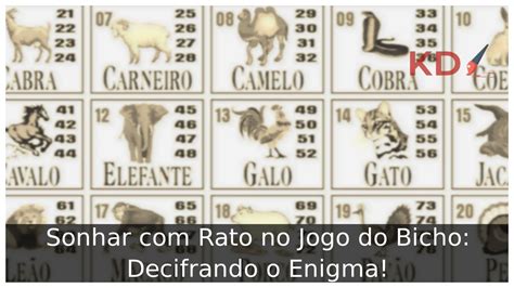 Sonhar com rato no Jogo do Bicho - ASTROSONHO