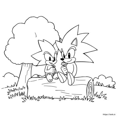 Sonic Coloring Online
